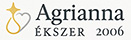 Borostyán ékszer - ezüst és arany ékszerek - Agrianna